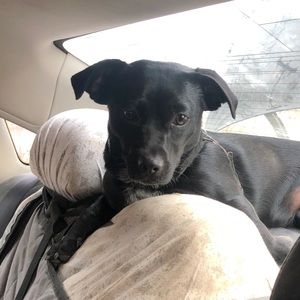 Meet your Posher, Jane